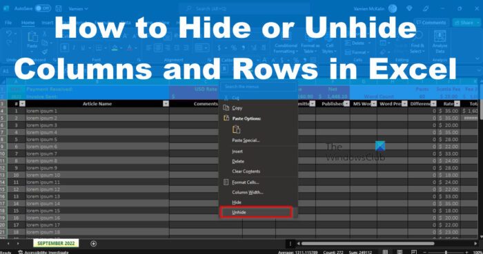 How to Hide or Unhide Columns and Rows in Excel