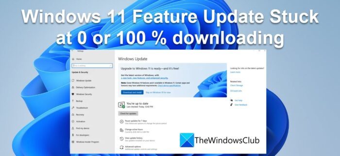 Windows 11 Feature Update Stuck at 0 or 100 % downloading