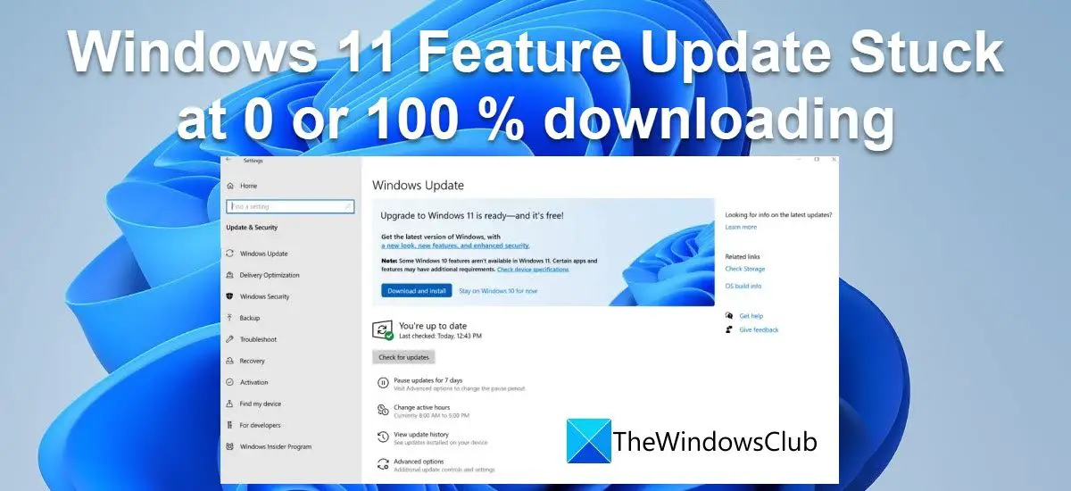 Windows 11 Feature Update Stuck at 0 or 100 % downloading