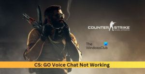 CS:GO Voice Chat Not Working [Fixed]