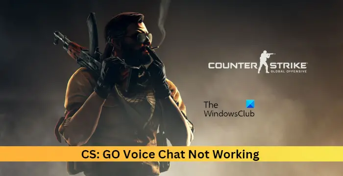 CS GO Voice Chat Not Working