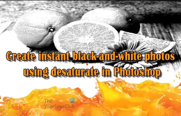 Create Black-and-White Photos using Desaturate in Photoshop
