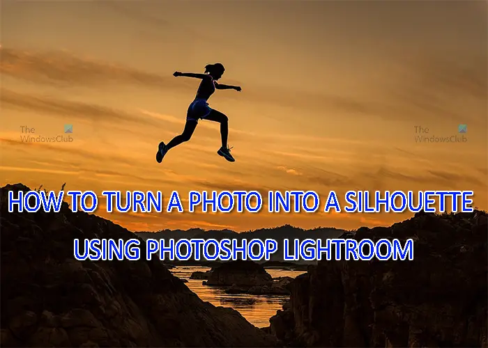 How to turn a photo into a silhouette using Photoshop Lightroom