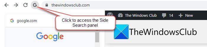 The 'G' icon to access Side Search feature