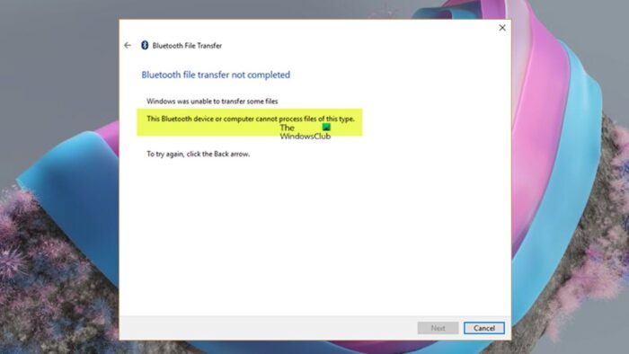 This Bluetooth device or computer cannot process files of this type