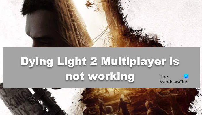 Dying Light 2 Multiplayer is not working