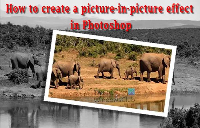 How to create a picture-in-picture effect in Photoshop -