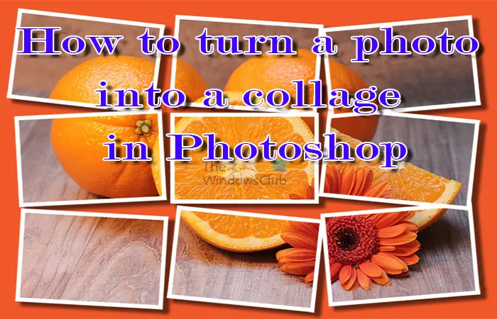 How to turn a photo into a collage in Photoshop -