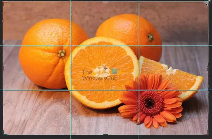 How to turn a photo into a collage in Photoshop - image with crop mark and cursor at edge to be resized