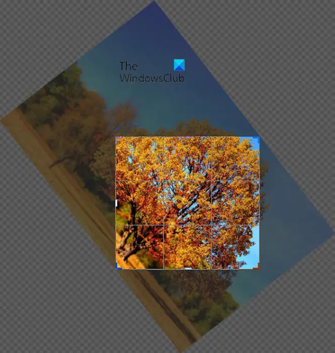 How to use the crop feature in Photoshop - Rotate crop preview