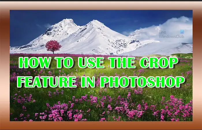 How to use the Crop Tool in Photoshop to crop images