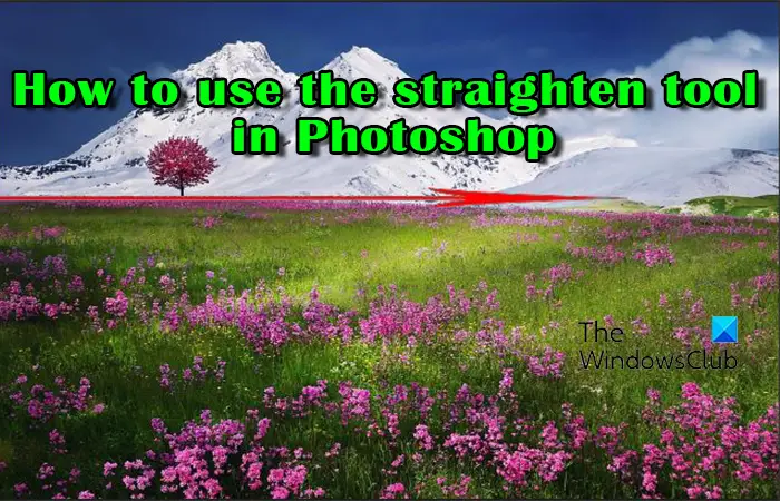 How to use the straighten tool in Photoshop -