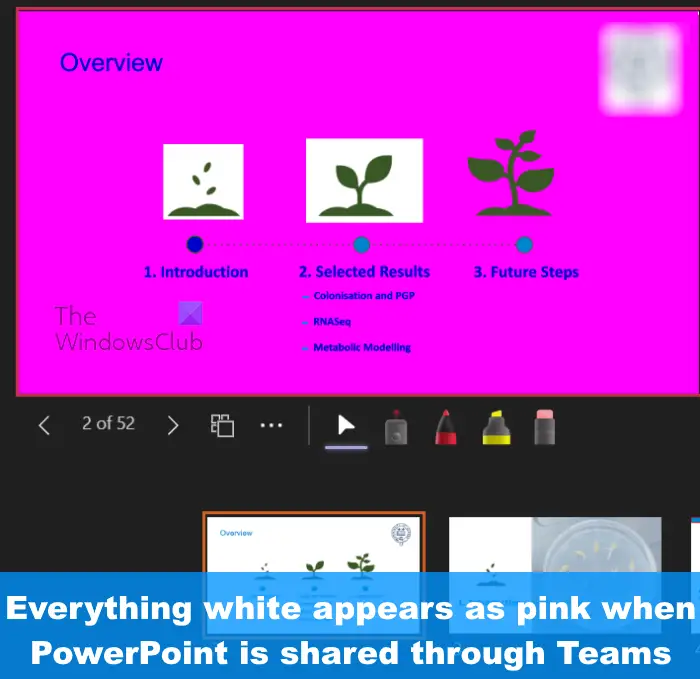 Everything white appears as pink when PowerPoint is shared through Teams
