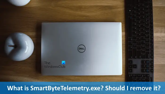 What is SmartByteTelemetry exe