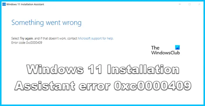 windows 11 assistant error