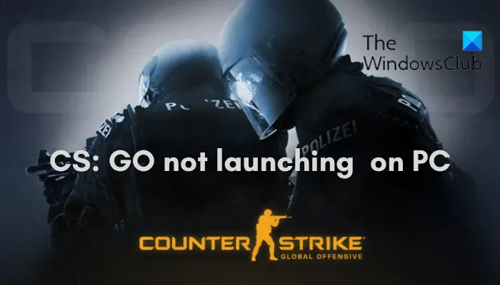CS: GO not launching or opening on Windows PC