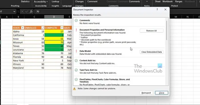 Excel Document Inspector Results