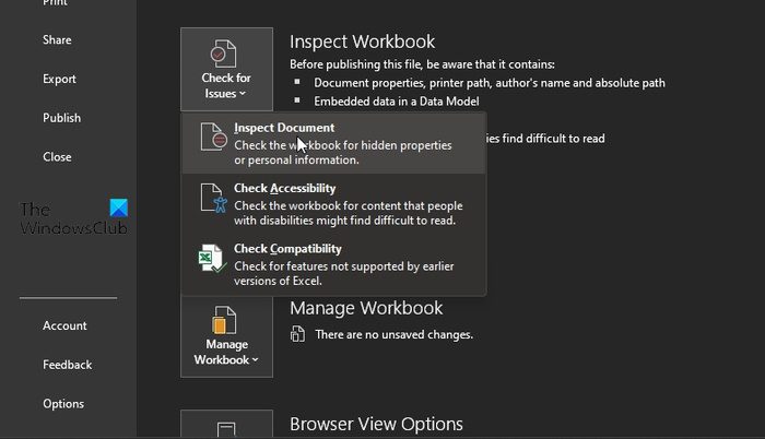 Excel Inspect Document