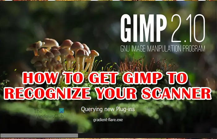 How to scan an Image with Gimp