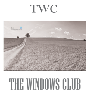 How to convert InDesign document to grayscale