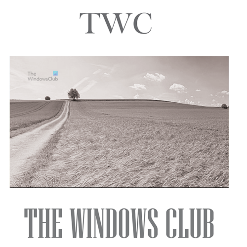 How to convert InDesign document to grayscale