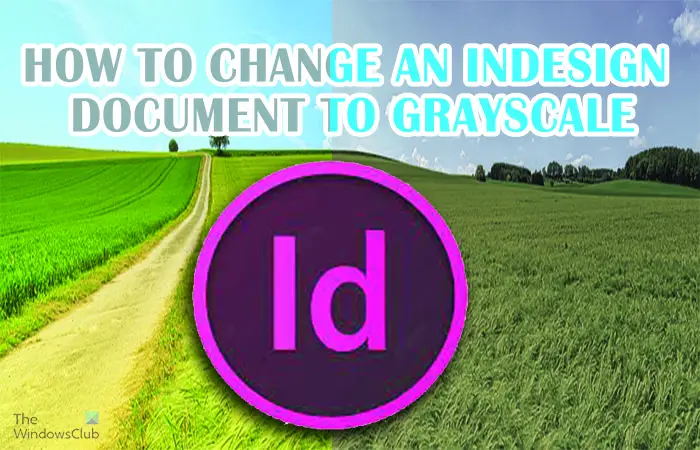 How to change an InDesign document to grayscale