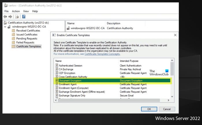 Issue custom template via Certification Authority (certsrv.msc)