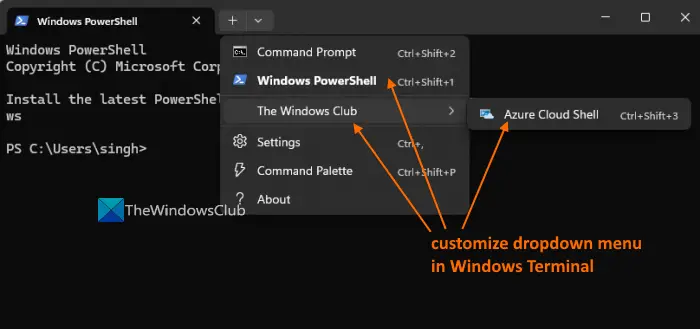 customize drop down menu windows terminal