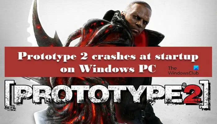 Prototype 2 crashes at startup on Windows PC