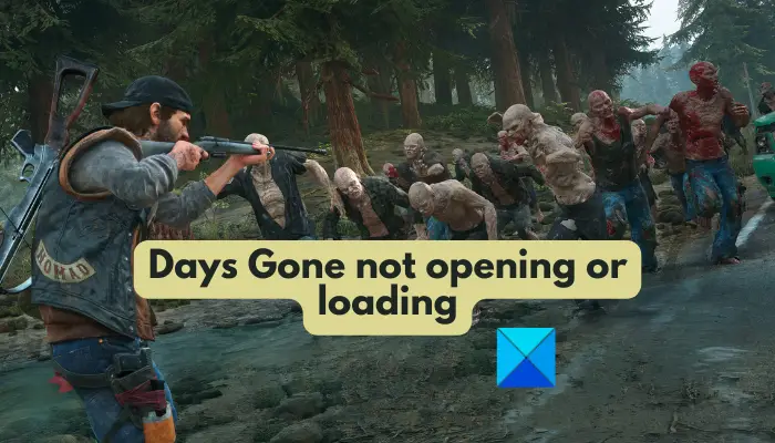 Days Gone not opening or loading