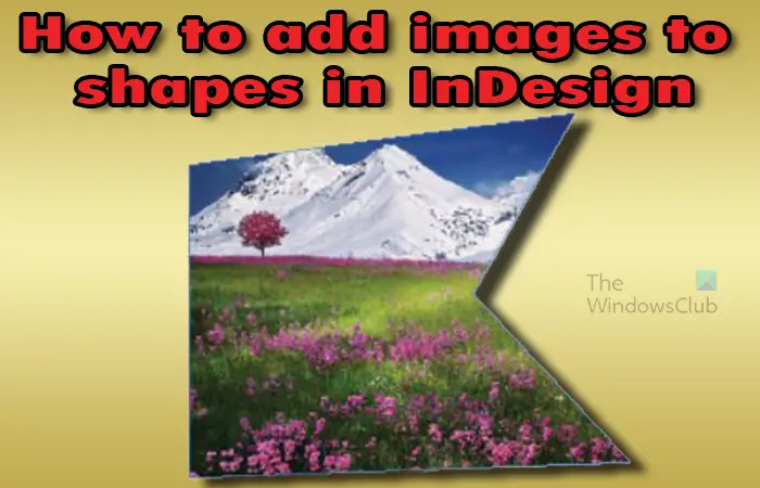 How to add images to shapes in InDesign