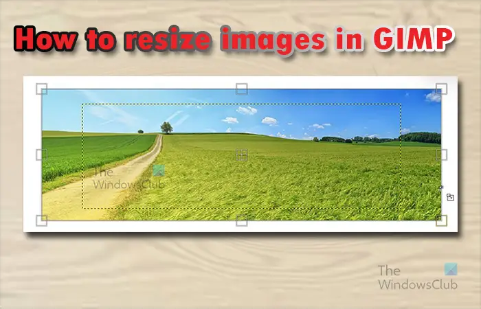 How to resize images in GIMP