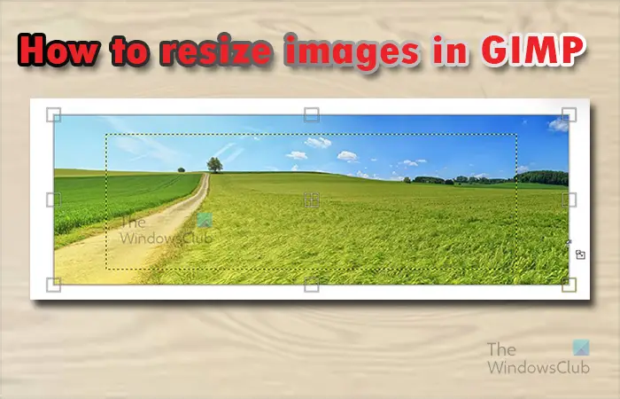 How to resize Image in GIMP without losing quality