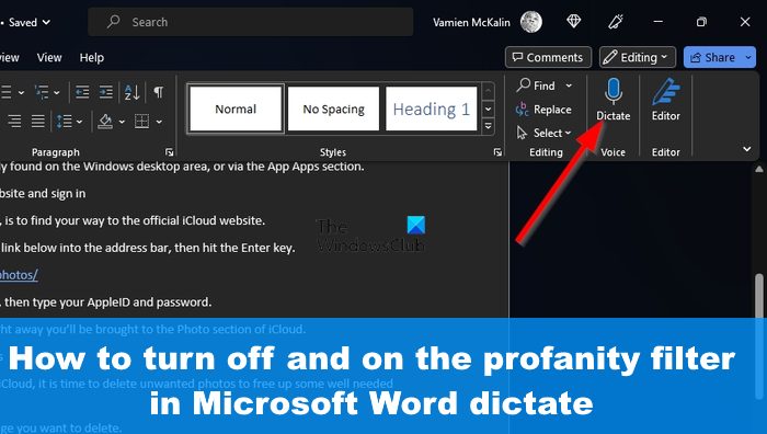 How to turn off and on the profanity filter in Microsoft Word dictate