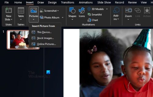 How to fit a large Picture into a PowerPoint slide