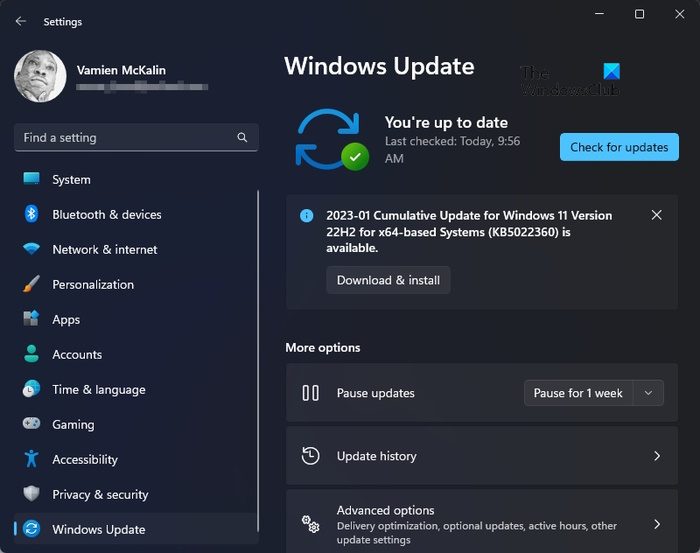 Windows Update Windows 11