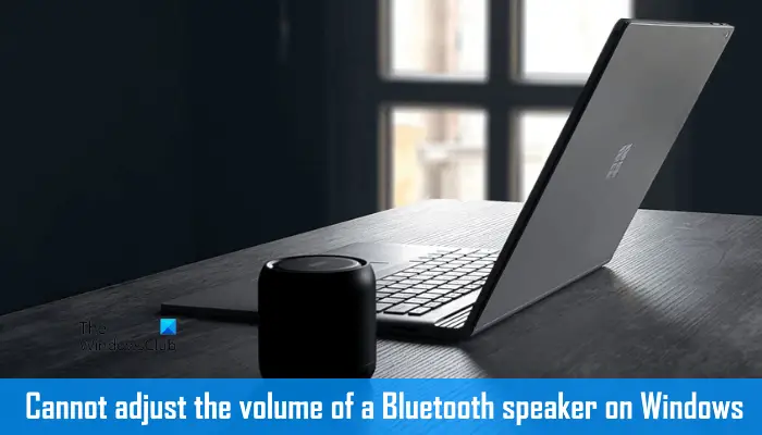 Cannot adjust the volume of a Bluetooth speaker on Windows