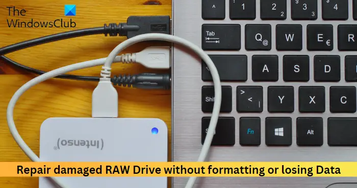 Repair damaged RAW Drive without formatting or losing Data