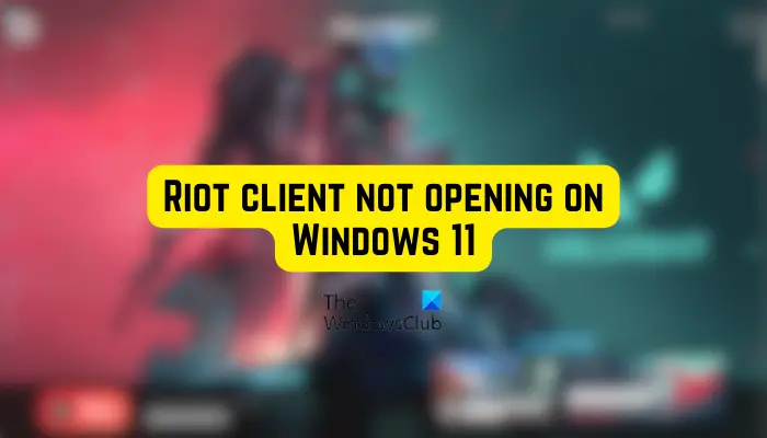 I need help. I can not log in to riot client. I log in using