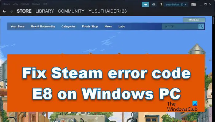 Steam Error Code E8