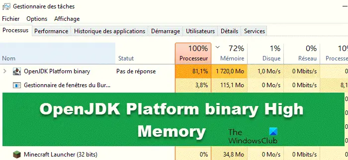 OpenJDK Platform binary High Memory