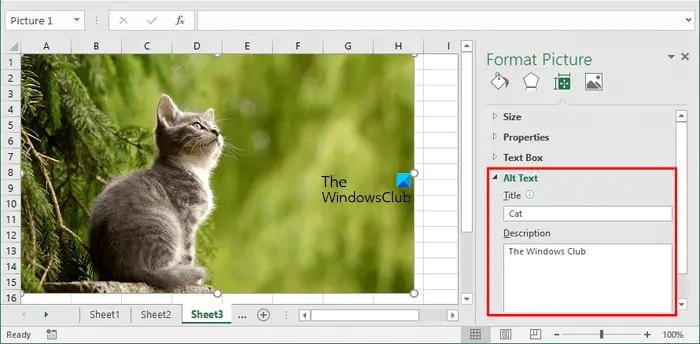 How to add Alt Text in Excel