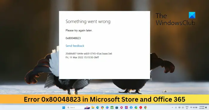 Error 0x80048823 in Microsoft Store amd Office 365