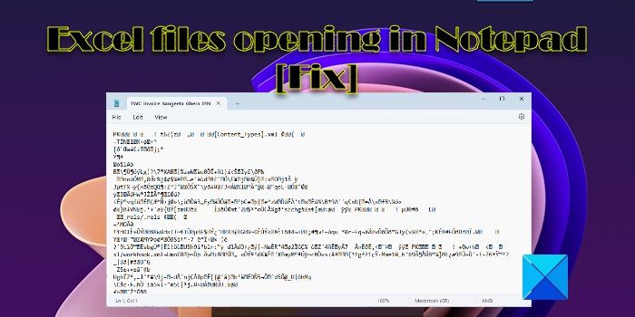 Excel files opening in Notepad [Fix]