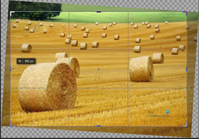 How to use Content-Aware Crop and Fill in Photoshop - Image showing where crop and straighten will happen