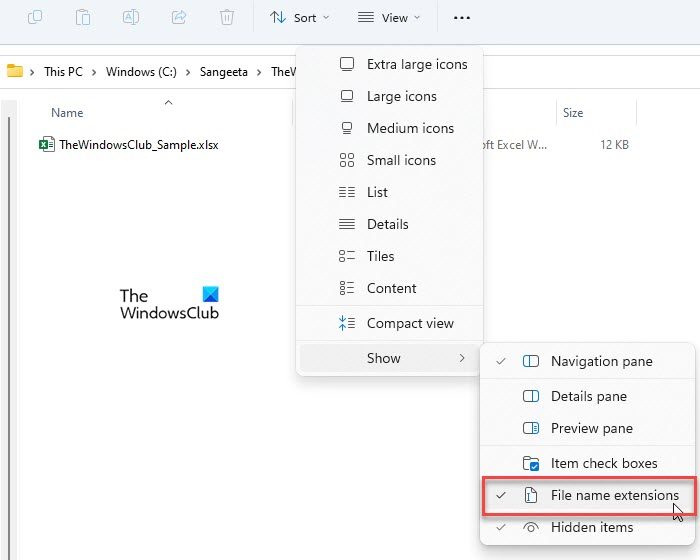 Show file name extensions in File Explorer