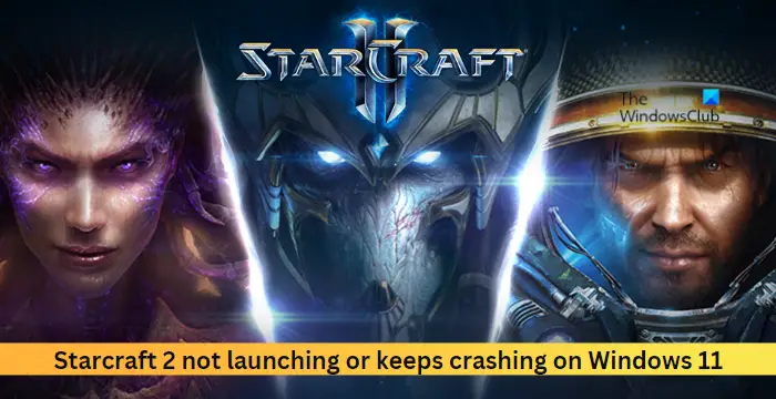 Starcraft 2 not launching or keeps crashing on Windows 11