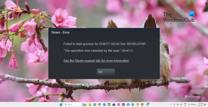 The operation was canceled by the user (0x4C7) Steam error