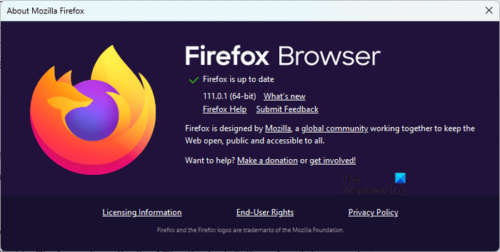 Firefox not installing on Windows 11/10 [Fix]