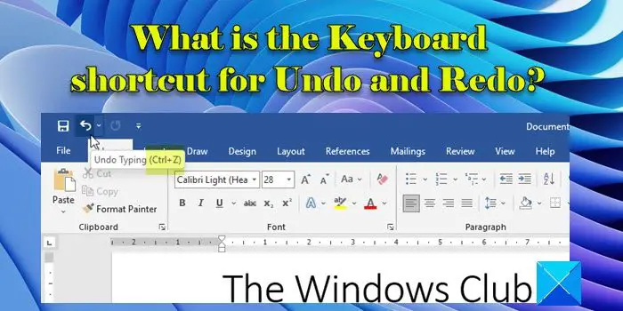 What is the Keyboard shortcut for Undo and Redo
